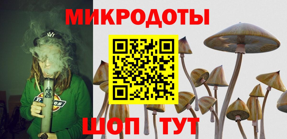Псилоцибиновые грибы мицелий Новочебоксарск