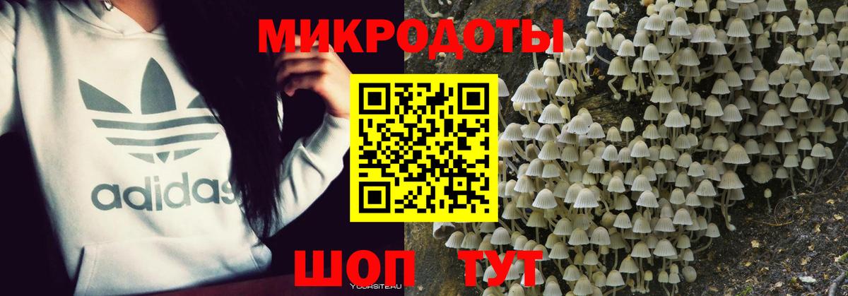 где купить наркоту  Псилоцибиновые грибы Psilocybine cubensis  Вход с VPN  Псилоцибиновые грибы Psilocybe  Новочебоксарск 